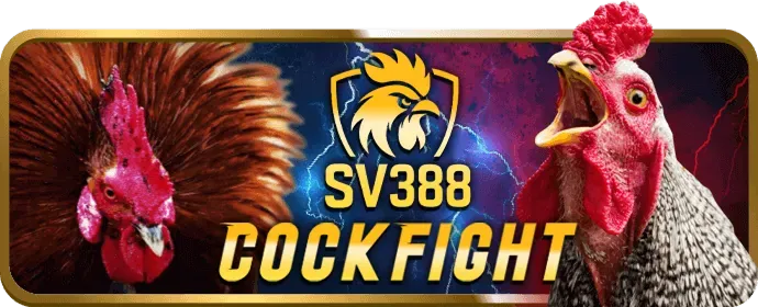 Tiền thưởng chào mừng kong88 code